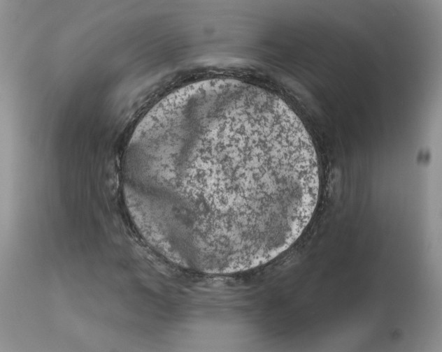 X0000112860966200909111505