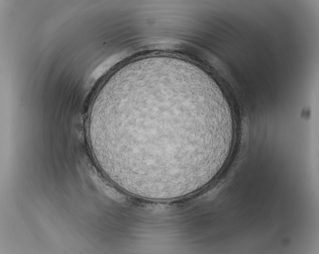 X0000112860970200909111505