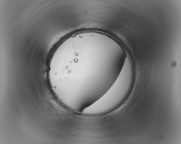 X0000112860973200909111505