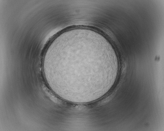 X0000112860974200909111505