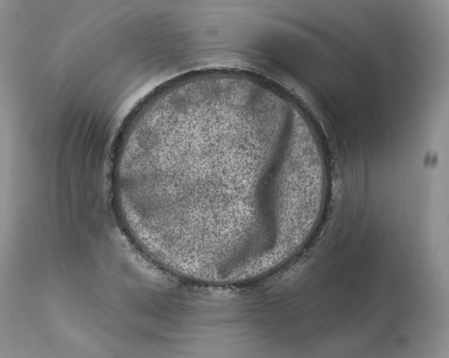 X0000112860975200909111505