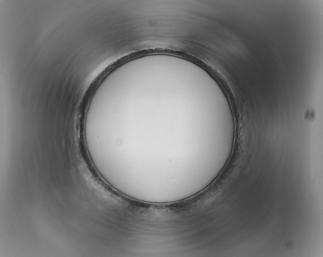 X0000112860983200909111504