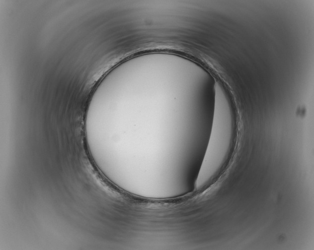 X0000112860985200909111504