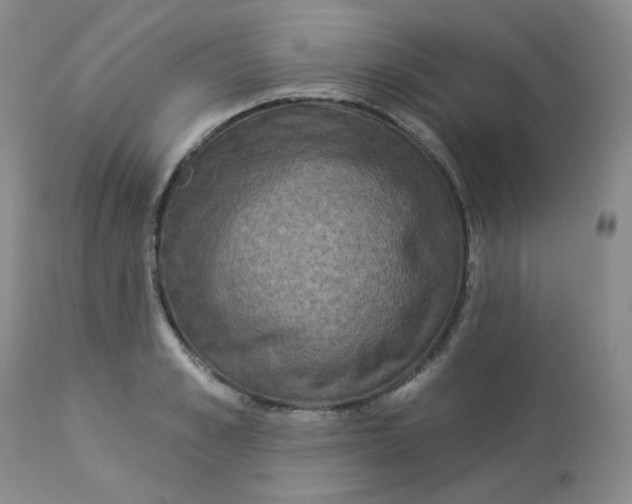 X0000112860989200909111504