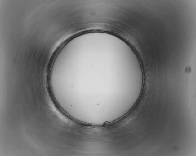 X0000112860991200909111504