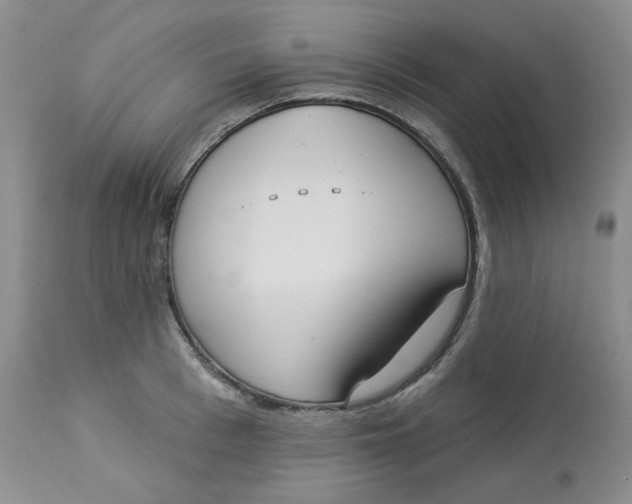 X0000112860993200909111504