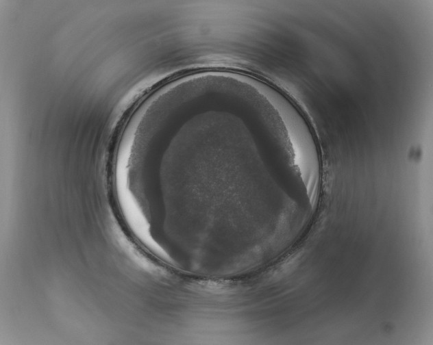 X0000112860995200909111504