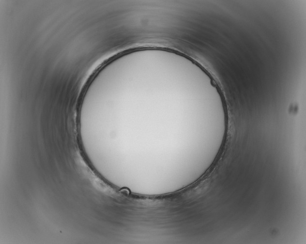 X0000112860996200909111504