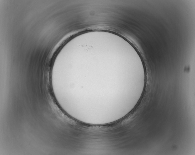 X0000112861000200909111504