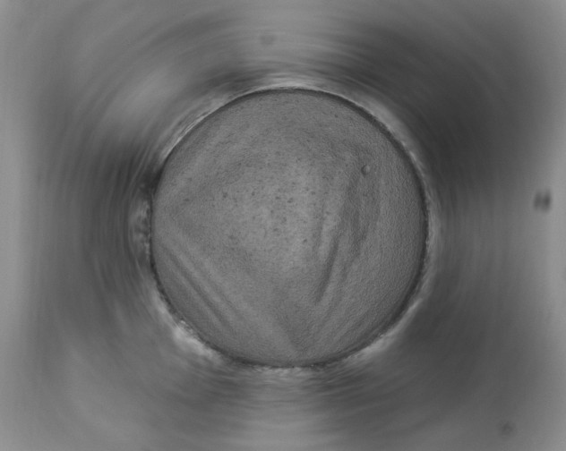 X0000112861001200909111504