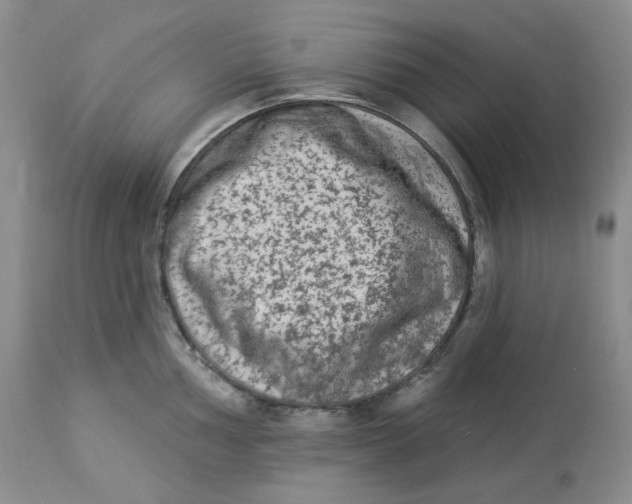 X0000112861002200909111504