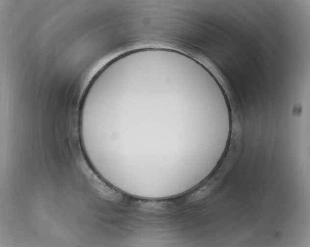 X0000112861004200909111504