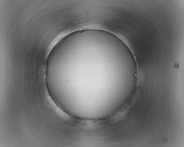 X0000112861005200909111504