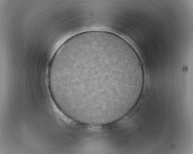 X0000112861006200909111504