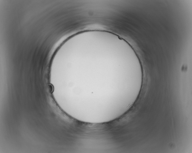 X0000112861008200909111504