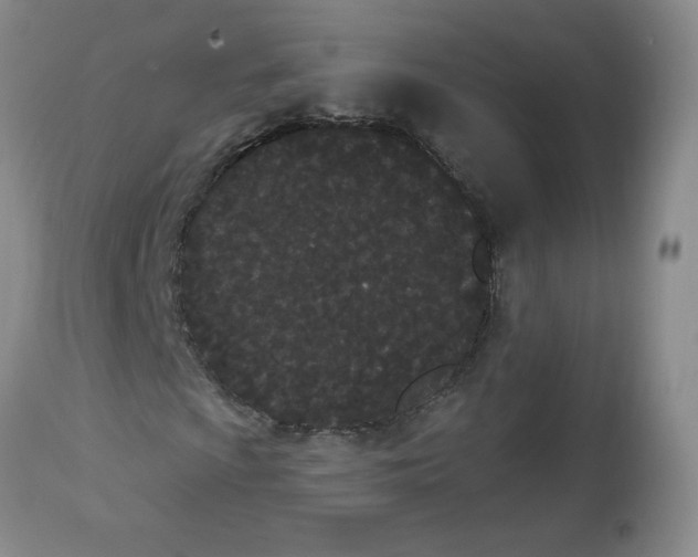 X0000112861009200909111503