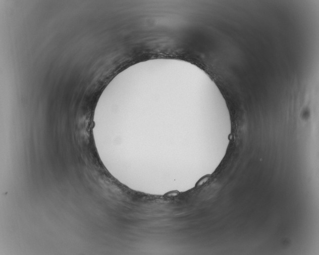 X0000112861010200909111503