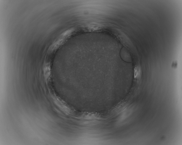 X0000112861011200909111503