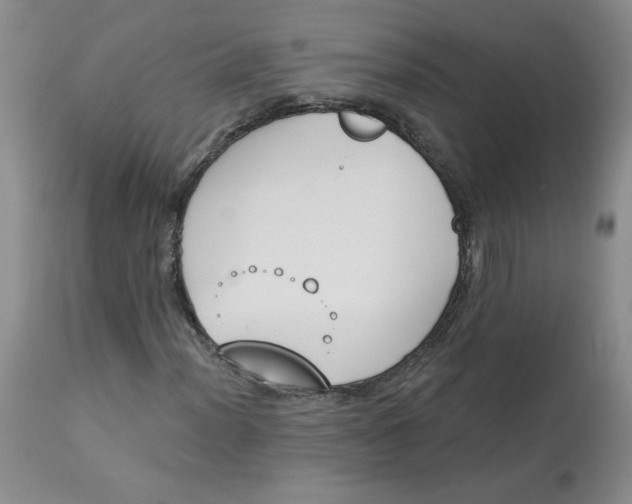 X0000112861012200909111503