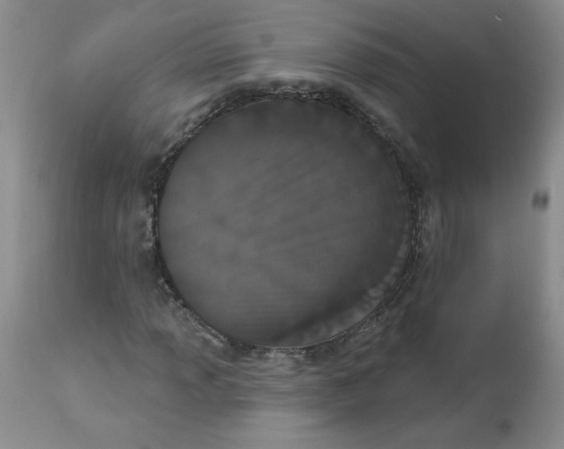 X0000112861013200909111503