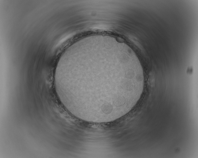 X0000112861015200909111503