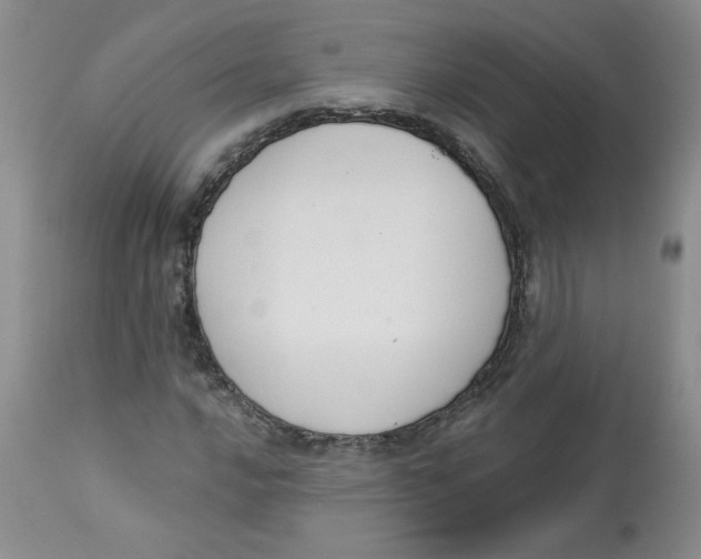 X0000112861016200909111504