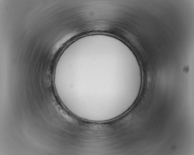 X0000112861018200909111504