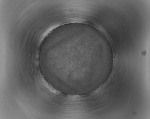 X0000112861019200909111504