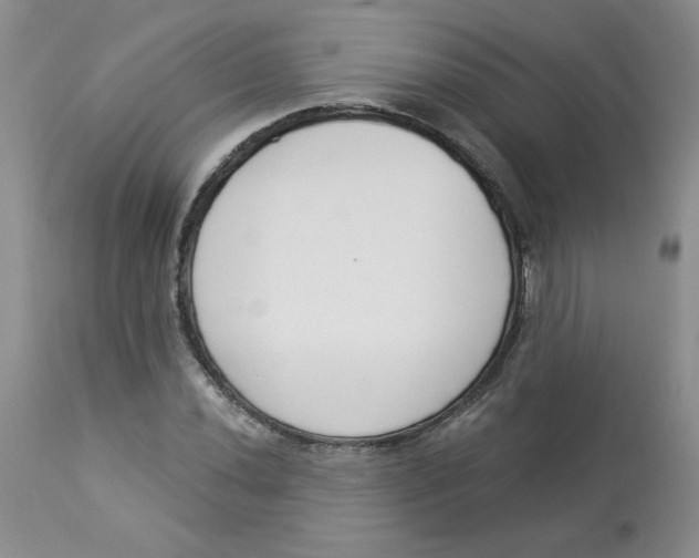 X0000112861020200909111504