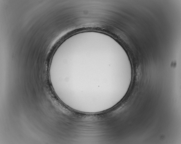 X0000112861021200909111504