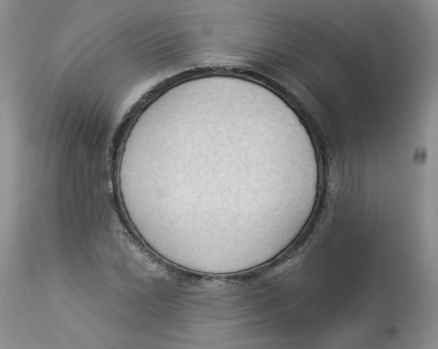 X0000112861022200909111504