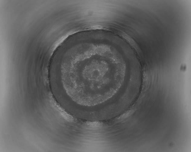 X0000112861023200909111504