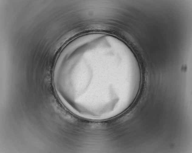 X0000112861025200909111504