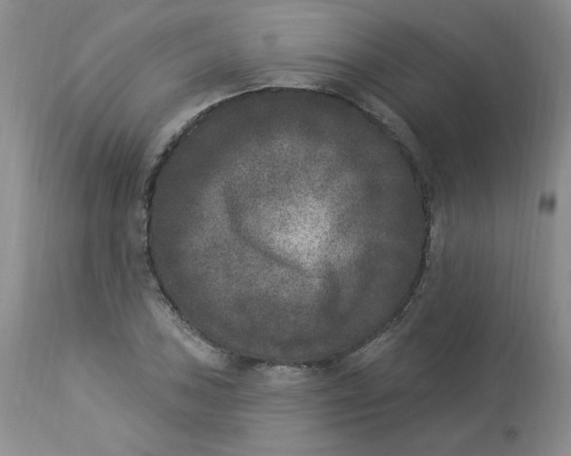 X0000112861027200909111504