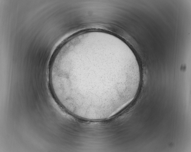 X0000112861028200909111504