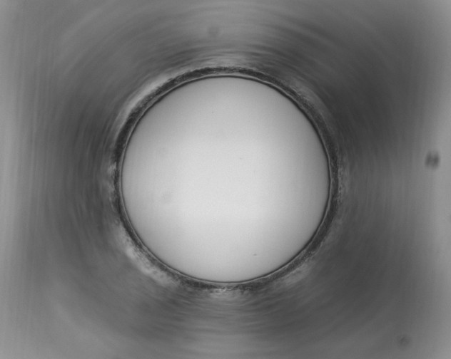 X0000112861029200909111504