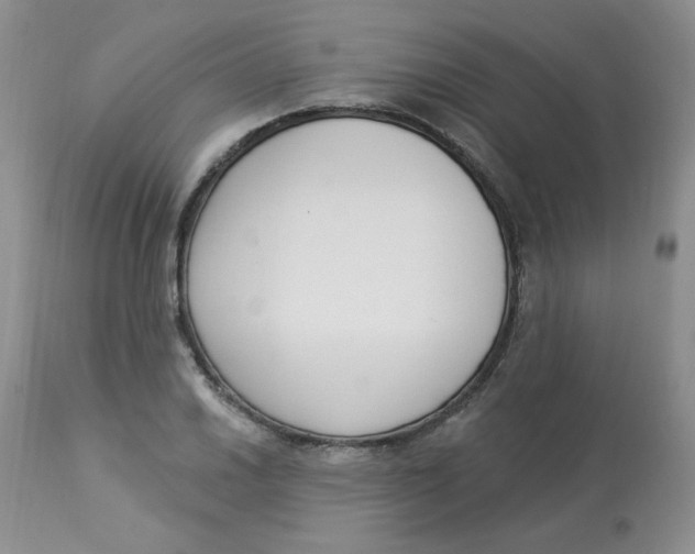 X0000112861030200909111504