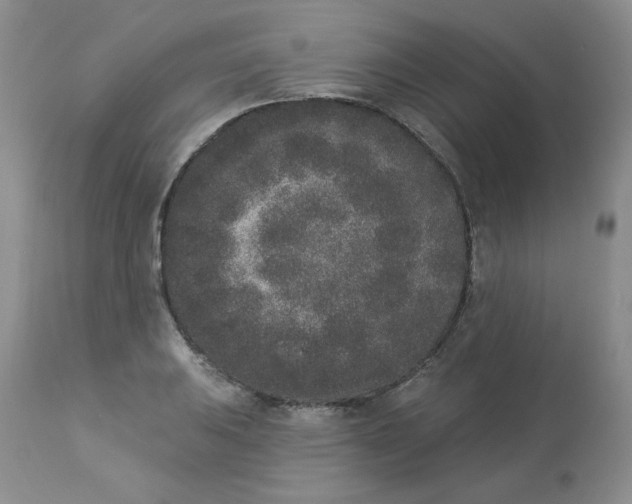 X0000112861031200909111504