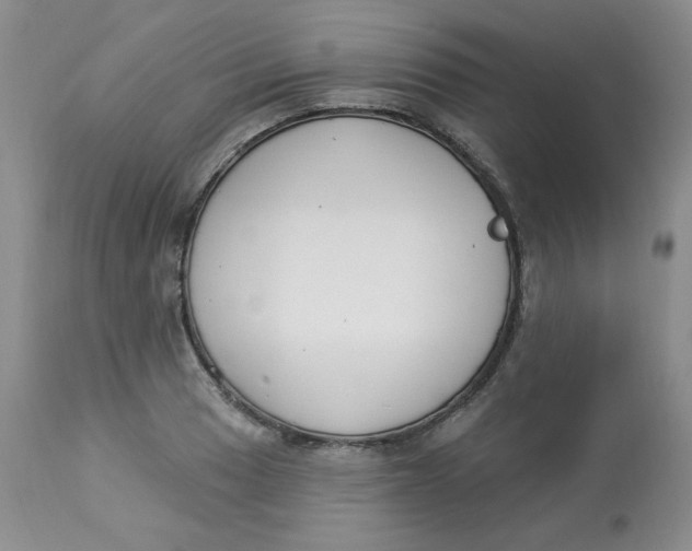 X0000112861033200909111504