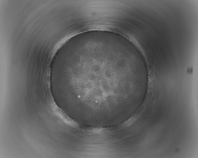 X0000112861035200909111504