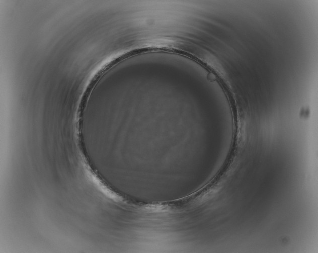 X0000112861037200909111504