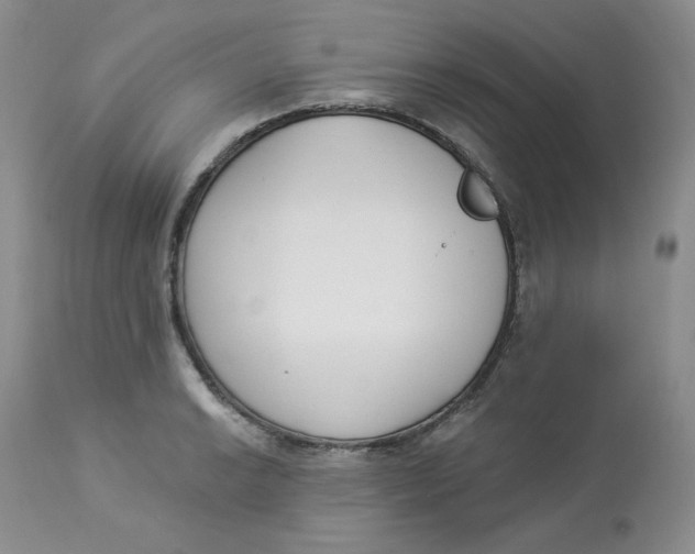 X0000112861038200909111504