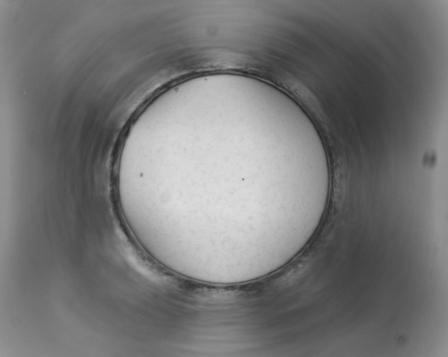 X0000112861039200909111504