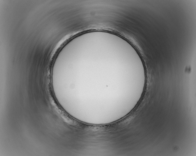 X0000112861040200909111504