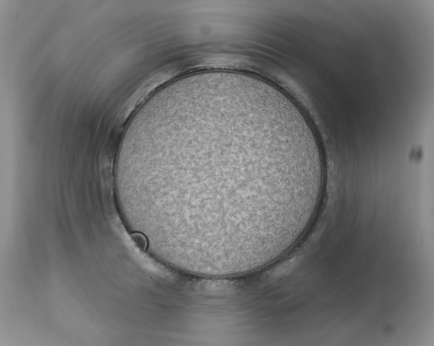 X0000112861041200909111504