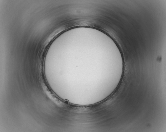 X0000112861042200909111504