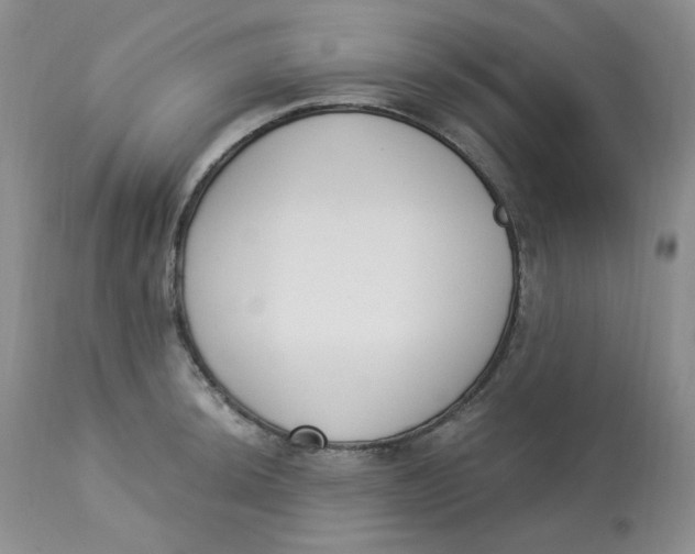 X0000112861044200909111504