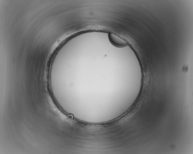 X0000112861046200909111504