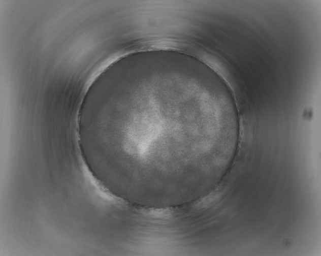 X0000112861047200909111504