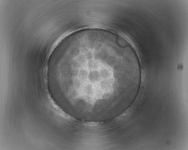 X0000112861048200909111504